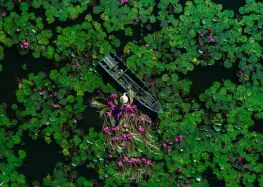 Bán Van Cửa Lật HDPE giá rẻ Tại Đồng Tháp Bán Van Cửa lật ngăn mùi chất lượng cao Tại Đồng Tháp