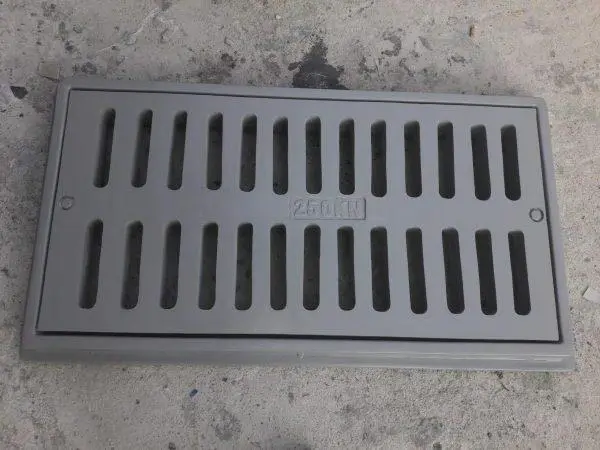 Song chắn rác Composite 2 5 tấn kích thước 960x530 tải trọng 250KN